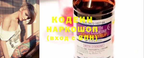 гидра Карпинск