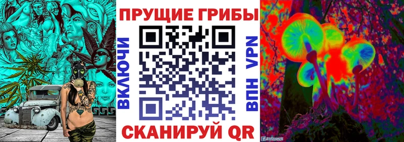 купить закладку  Арзамас  Псилоцибиновые грибы Cubensis 